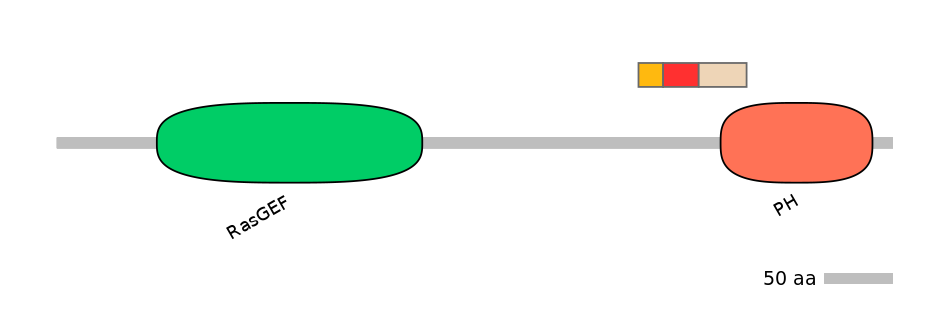 RnoEX0073799-INC