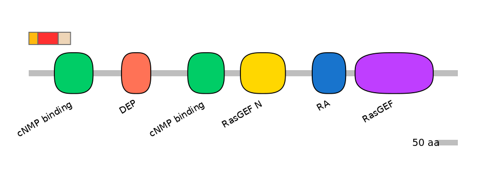 RnoEX0074036-INC