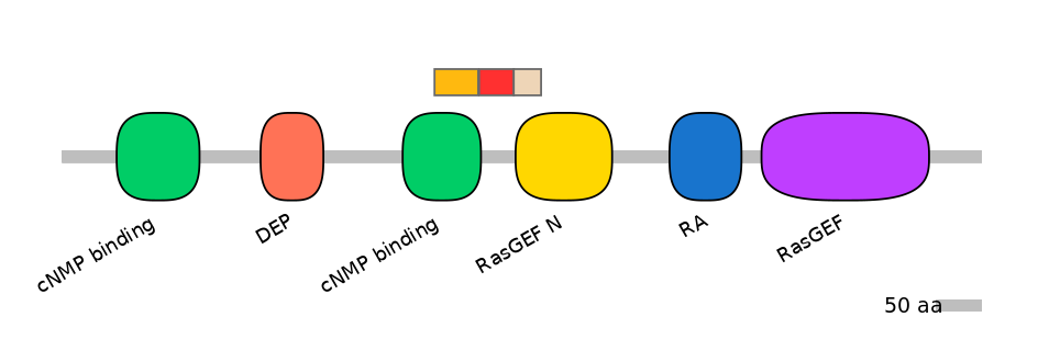 RnoEX0074043-INC