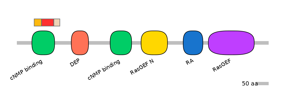 RnoEX0074046-INC