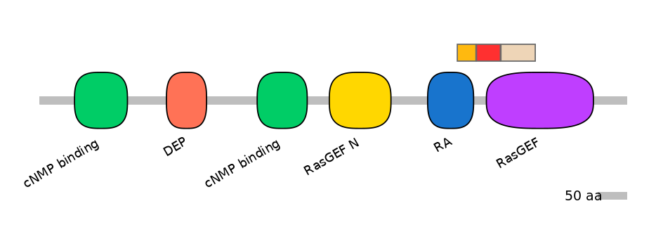 RnoEX0074048-INC