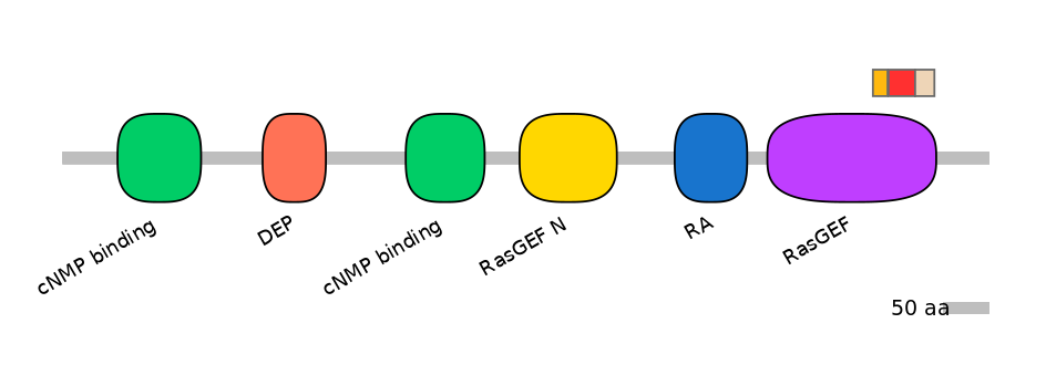RnoEX0074049-INC