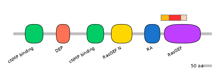 RnoEX0074053-INC
