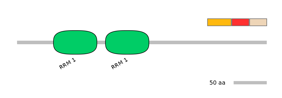 RnoEX0074756-INC