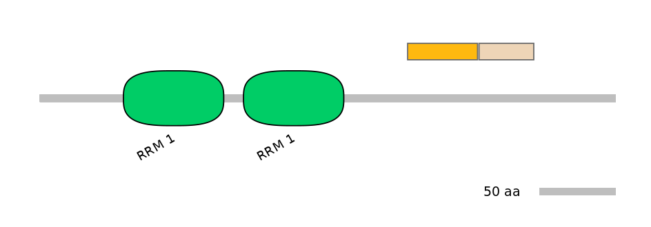 RnoEX0074757-EXC