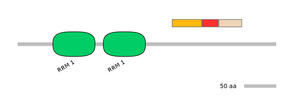 RnoEX0074757-INC