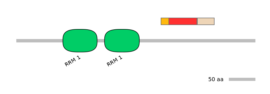 RnoEX0074768-INC