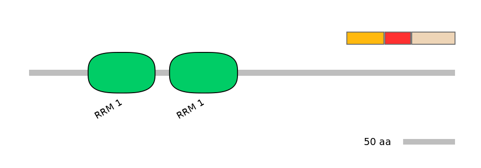 RnoEX0074769-INC