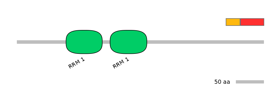 RnoEX0074771-INC