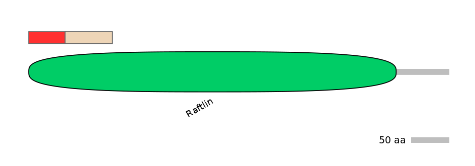 RnoEX0075367-INC