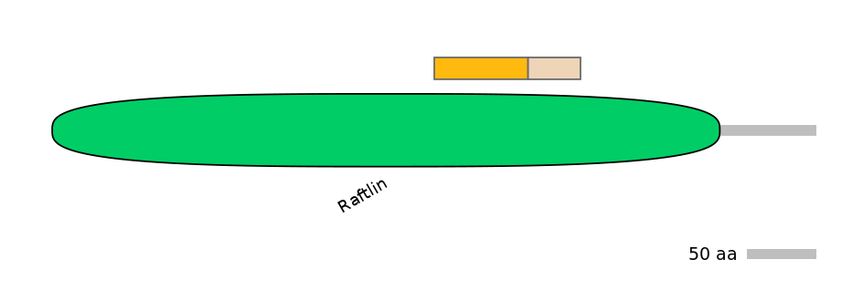 RnoEX0075368-EXC