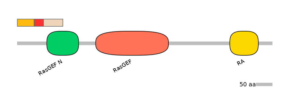 RnoEX0075465-INC