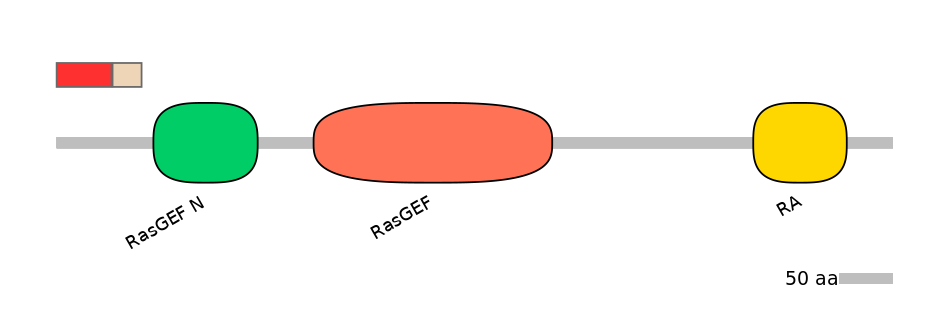 RnoEX0075470-INC