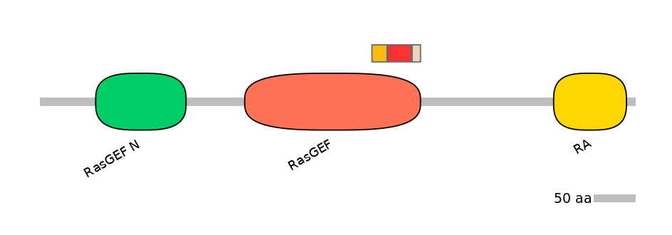 RnoEX0075472-INC