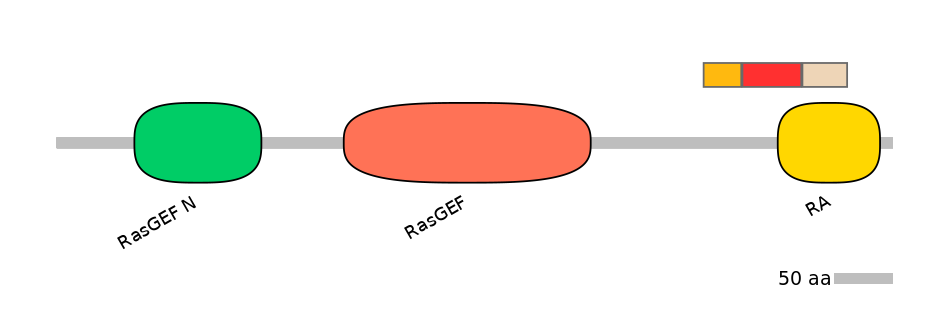 RnoEX0075474-INC