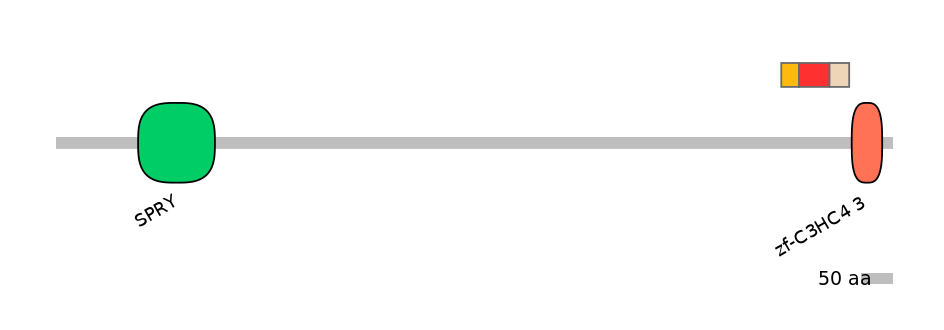 RnoEX0076241-INC