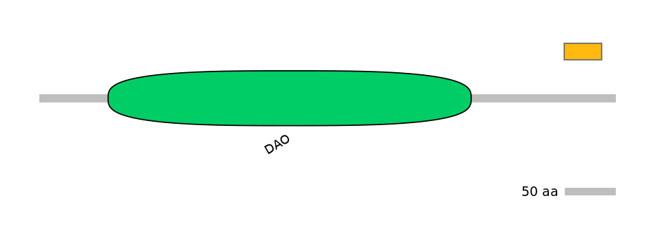 RnoEX0078023-EXC