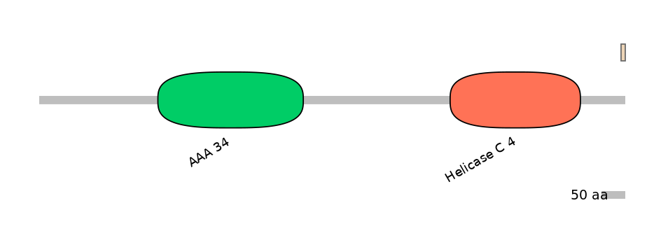 RnoEX0078203-EXC