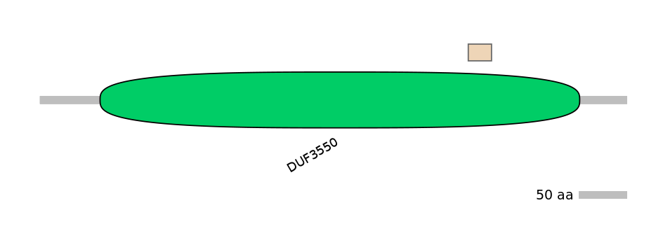 RnoEX0078278-EXC