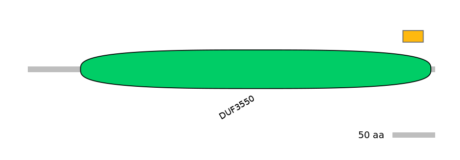 RnoEX0078279-EXC