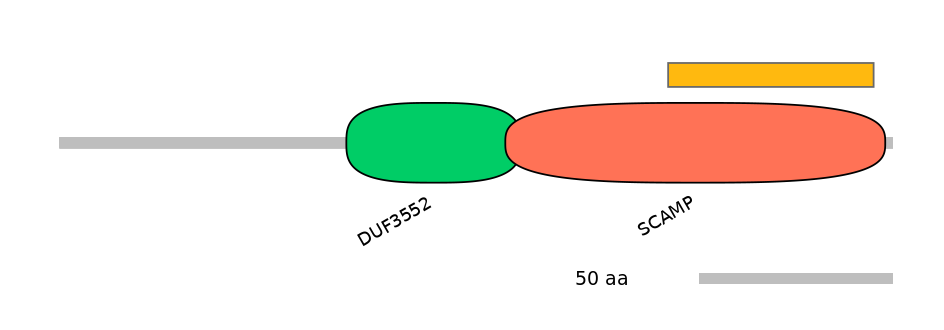 RnoEX0078296-EXC