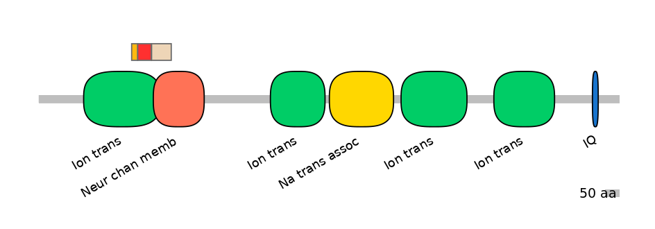 RnoEX0078531-INC