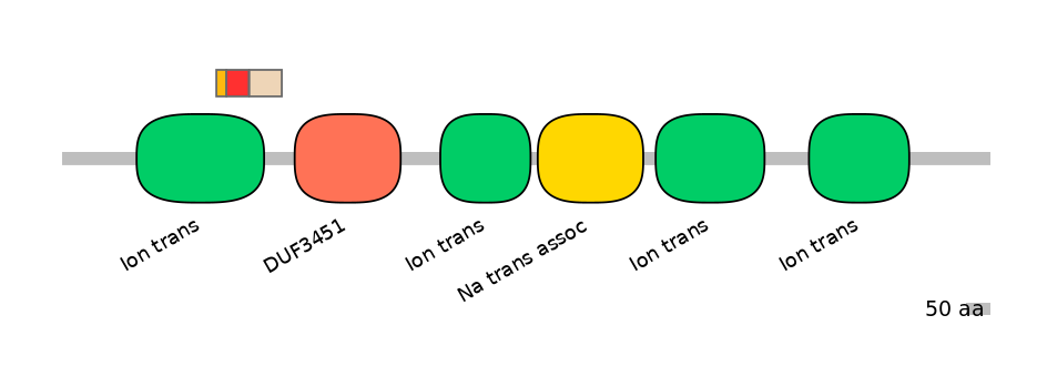 RnoEX0078545-INC