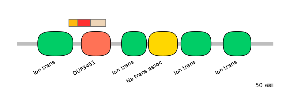 RnoEX0078546-INC
