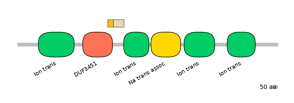 RnoEX0078553-EXC