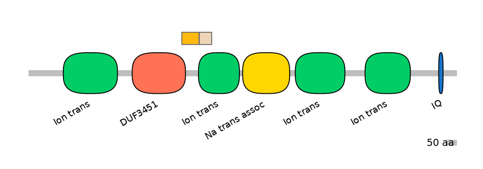 RnoEX0078607-EXC