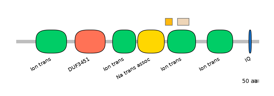 RnoEX0078609-EXC