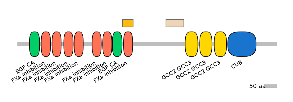 RnoEX0078742-EXC