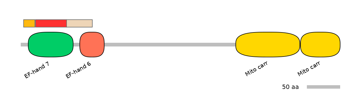 RnoEX0081782-INC