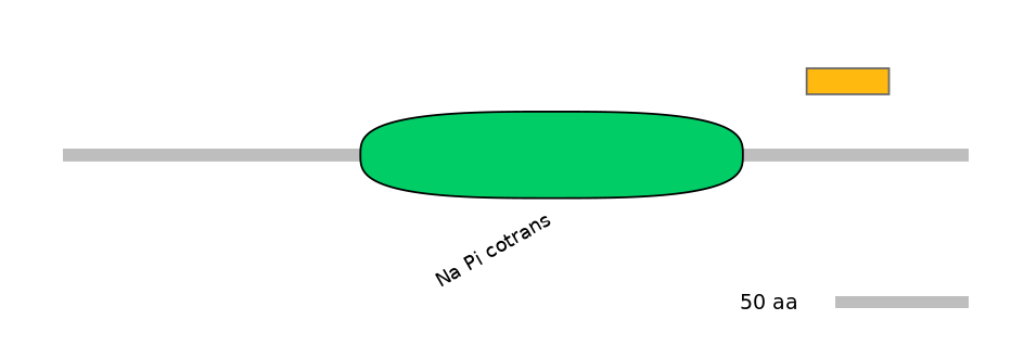 RnoEX0082269-EXC