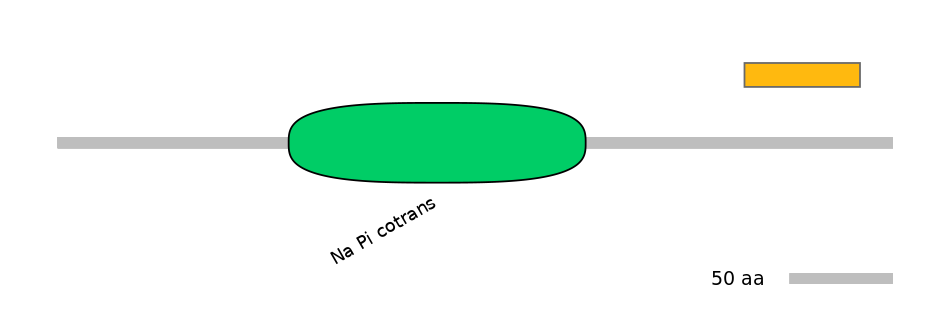 RnoEX0082273-EXC