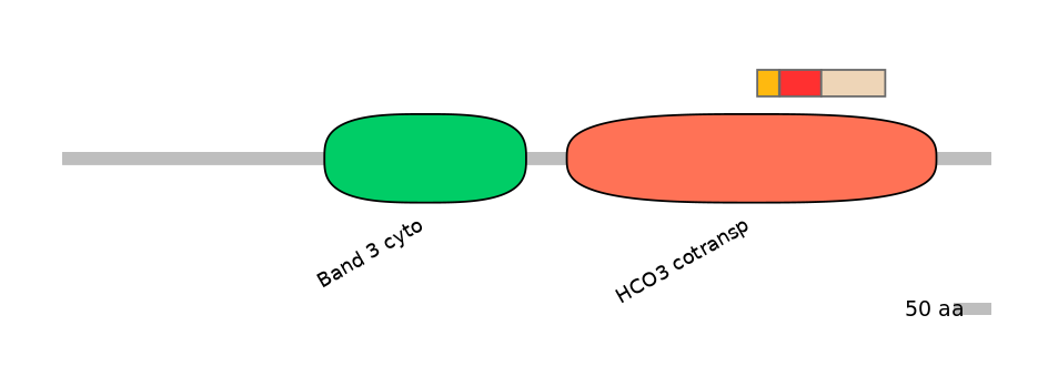 RnoEX0082807-INC