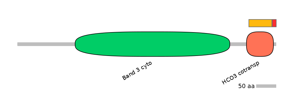 RnoEX0082859-INC
