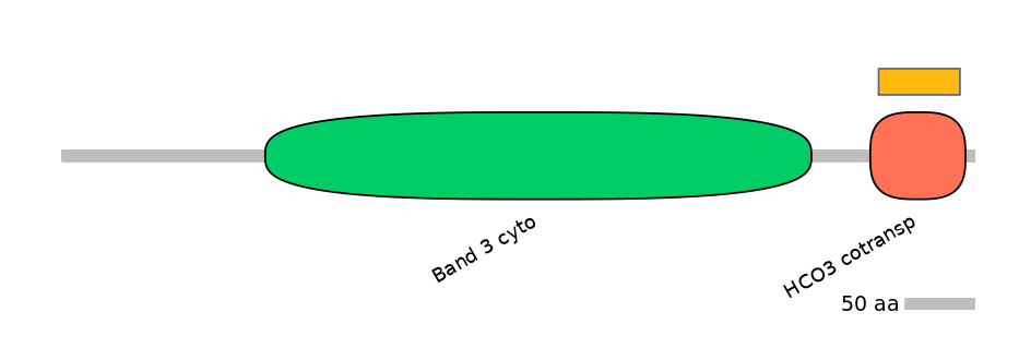 RnoEX0082860-EXC