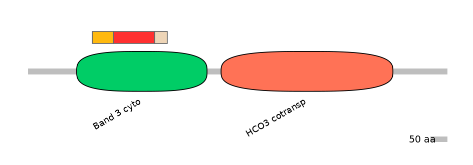 RnoEX0082868-INC