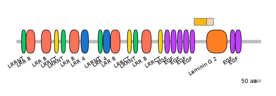 RnoEX0083450-EXC