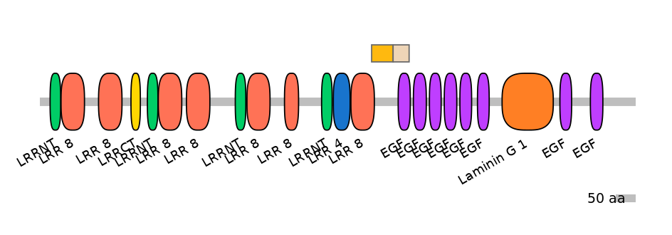 RnoEX0083468-EXC