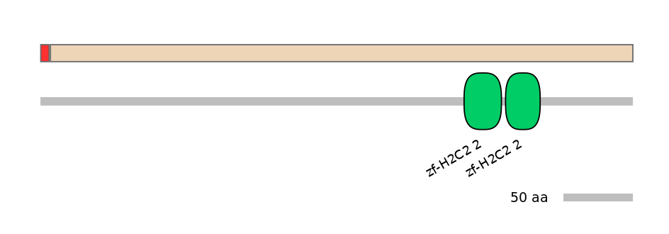RnoEX0084969-INC