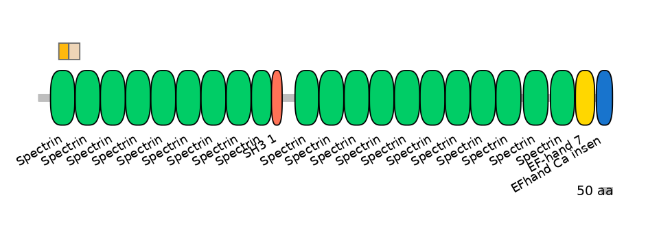 RnoEX0085696-EXC