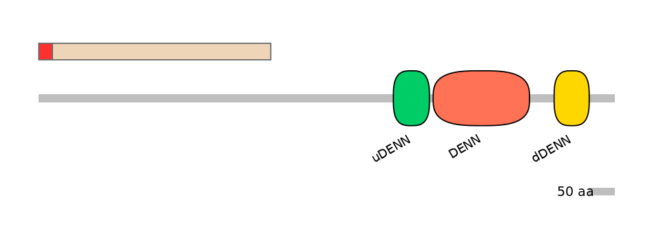 RnoEX0086431-INC