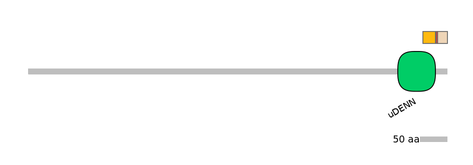 RnoEX0086441-INC