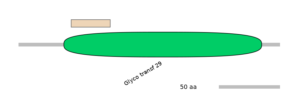 RnoEX0086453-EXC