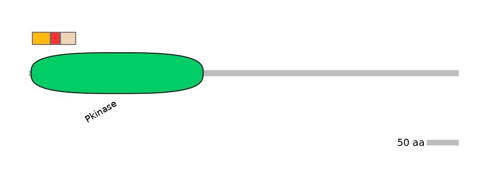 RnoEX0087046-INC