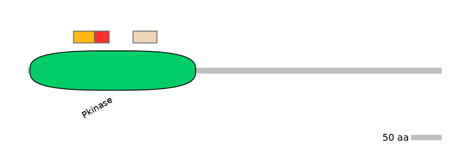 RnoEX0087049-INC