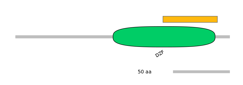 RnoEX0087165-EXC