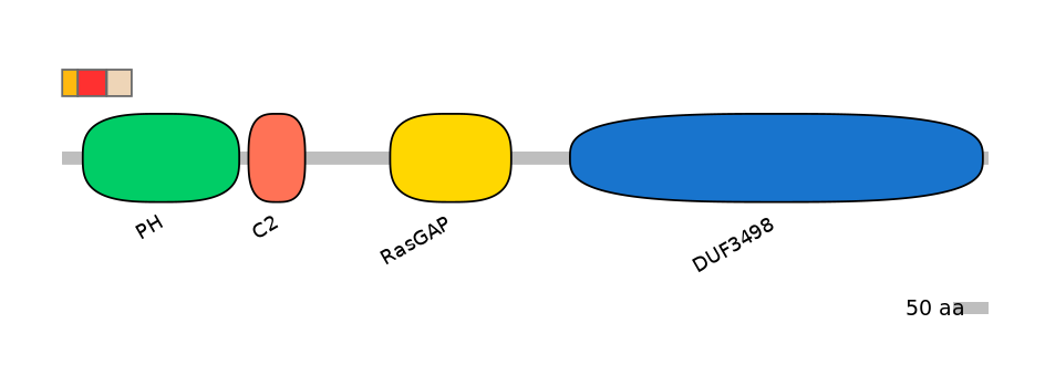 RnoEX0088077-INC